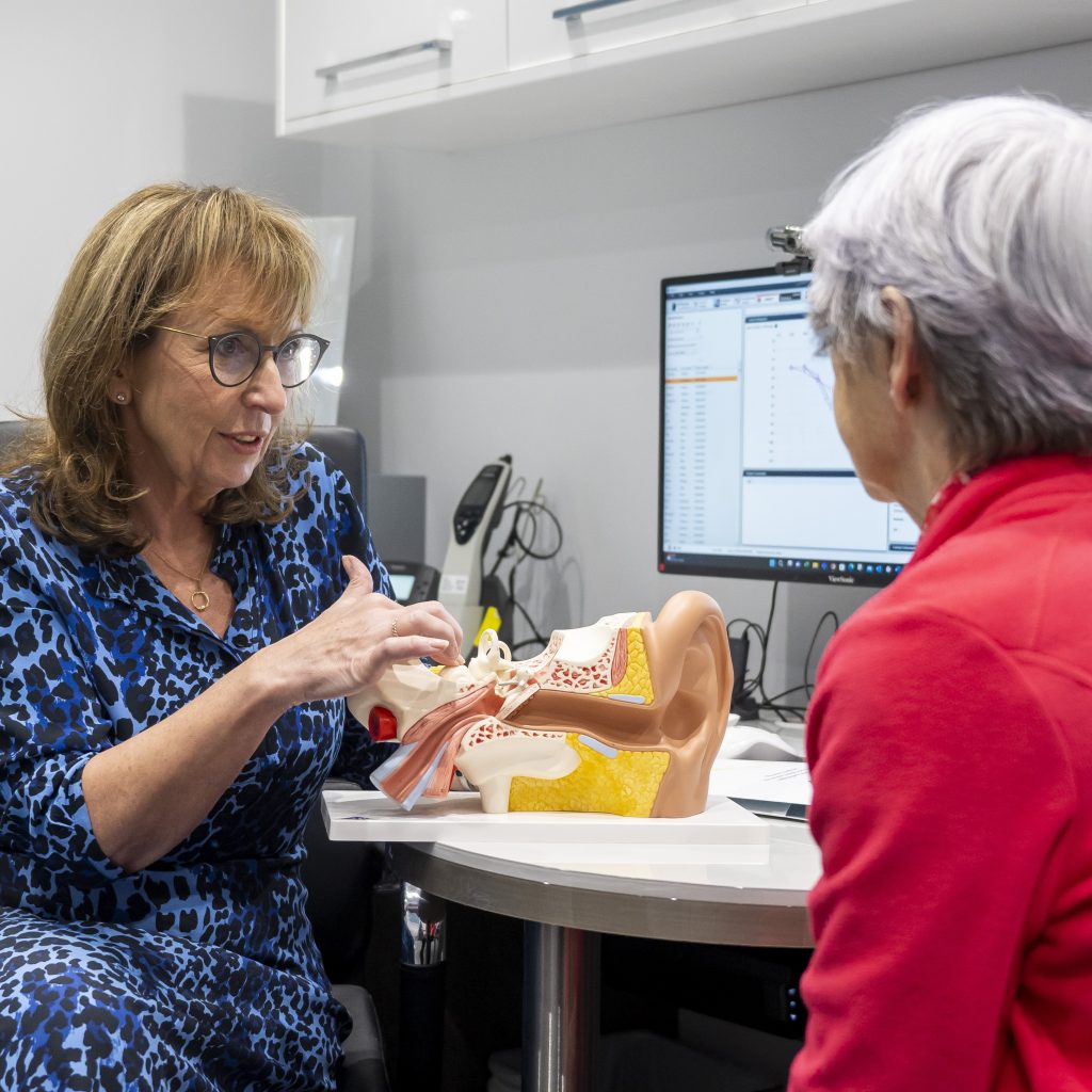 isabella Fisher, owner of Independent Hearing Care is talking to a client in her clinic. On the desk between them is a large anatomical model of the ear.