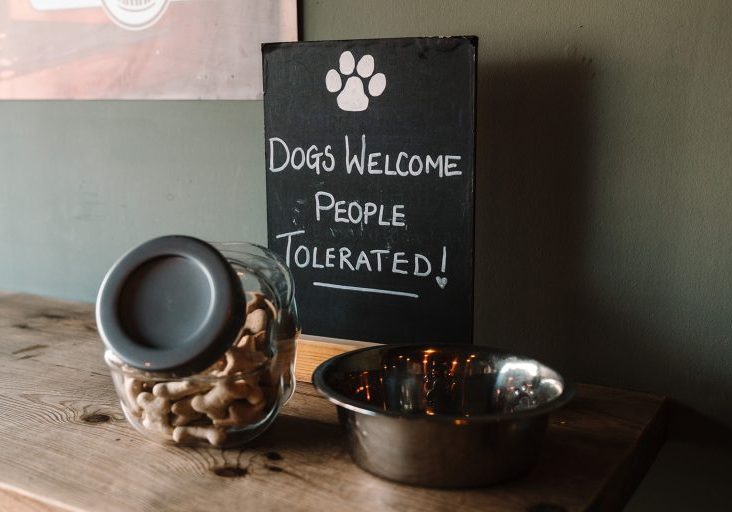 Dogs welcome sign next to a drinks bowl and drinks at the Ale Rooms